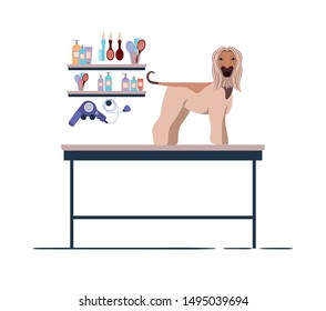 dog on hairdressing table with white background