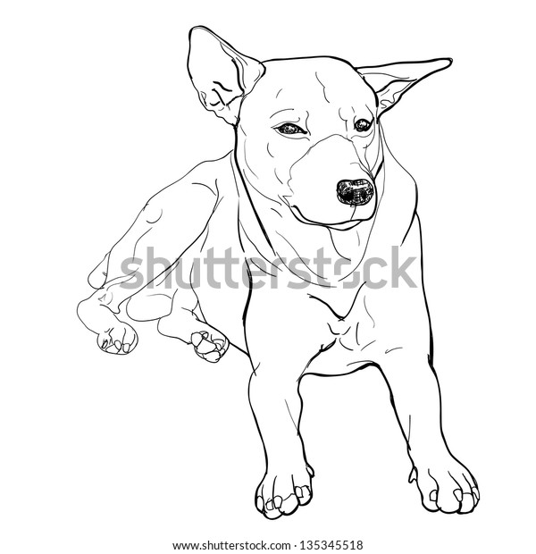 Line Art Dog Laying Down Drawing ~ Drawing