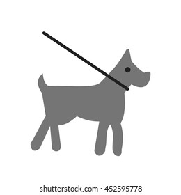 Dog on Leash