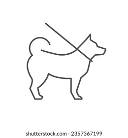 Dog on leash line icon