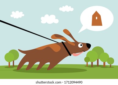 Dog on a leash walking in the park