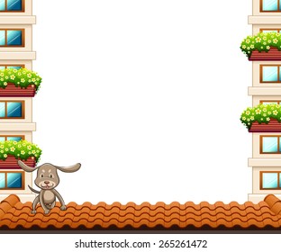 Dog on the roof with buildings on the side