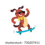A dog on the skateboard