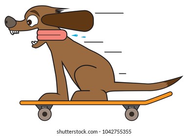 Dog on a Skateboard