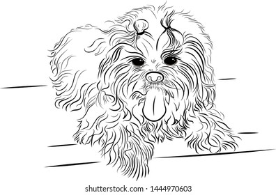 Dog on stairs. Vector illustration.