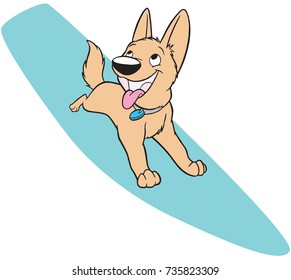Dog on surfboard