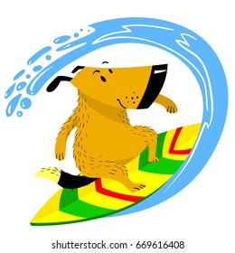 The dog on the surfboard. The pet is engaged in summer sports like human. Surfing dog. Vector illustration in cartoon style