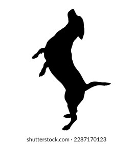 dog on two legs dog silhouette. Vector dog breeds