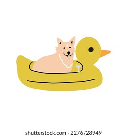 Dog on vacation. Cute animal rest by floating on an inflatable mattress.