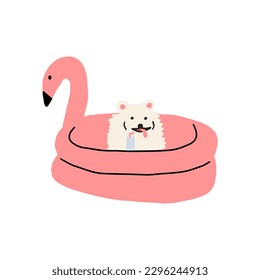Dog on vacation. Cute animal rest by floating on an inflatable mattress.