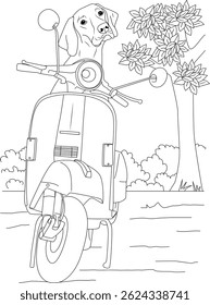 Dog on a Vintage Scooter Illustration, Black and white line drawing illustration of a cute dog sitting on an old vintage scooter outdoors.