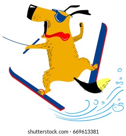 Dog on water skiing. The pet is engaged in summer sports like human. Skiing dog. Vector illustration in cartoon style