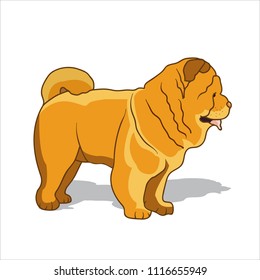 Dog on the white background 