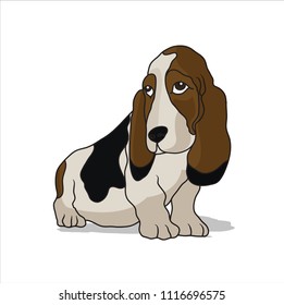 Dog on the white background 