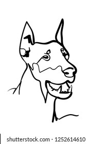 Dog on the white background