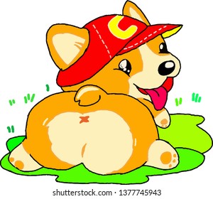Dog on white background