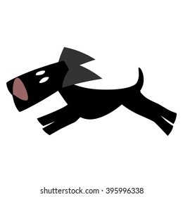 dog on a white background