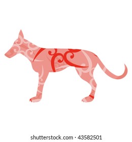 dog on white background