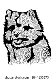 dog on white background. abstract vector illustration