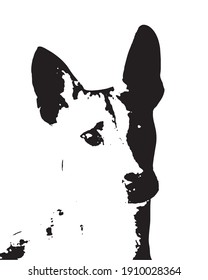 dog on white background. adobe illustrator eps 10