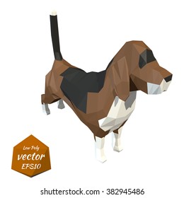 Dog on a white background. Low poly style. Vector illustration.