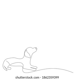 Dog on white background. Vector illustration