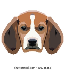 Dog on a white background. Vector.