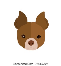 Dog on a white background. Vector illustration.