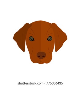 Dog on a white background. Vector illustration.