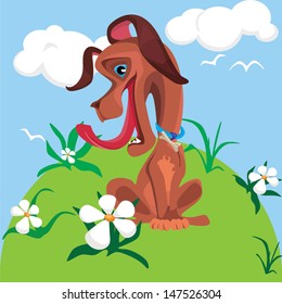 dog with open mouth in a meadow of daisies