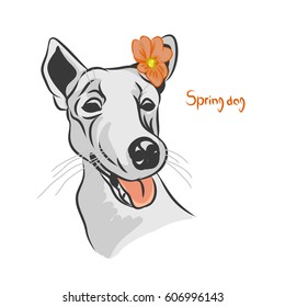 A dog with an orange flower on white background, vector illustration