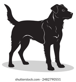 Dog outline and symbols. Dark level variety basic exquisite white foundation Dog animal vector and silhouette icon.
