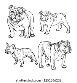 Dog outline vector