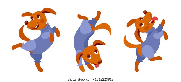 dog in overalls rejoices, jumps, dances. comfortable clothes for dogs.