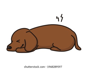 dog with painful Herniated disc, low back pain