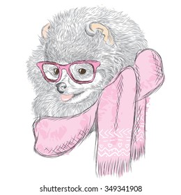 Dog painted by hand. Spitz . Vector illustration for greeting card, poster, or print on clothes.

