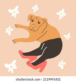 Dog in pantyhose and women's shoes, meme, funny postcard. Vector illustration, flat design, hand drawn cartoon.