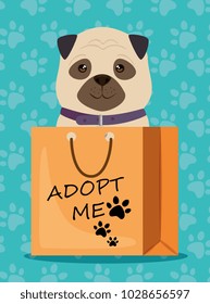 dog in paper bag pet friendly
