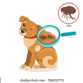 7,494 Dog parasites Images, Stock Photos & Vectors | Shutterstock