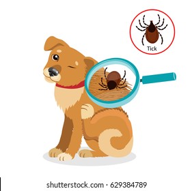Dog Parasites. Tick On Cat In The Fur As A Close Up Magnification Vector. Spread Of Infection. Pet Veterinary Medicine Vector.