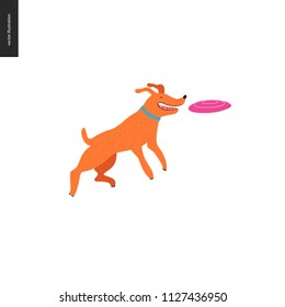 Dog in the park - flat vector concept illustration of an orange brownish dog with blue collar jumping in the air trying to catch a pink frisbee