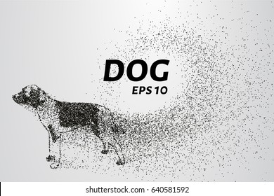 Dog of the particles. The dog consists of small circles and dots. Vector illustration