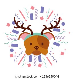 dog party celebration