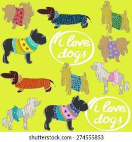 dog pattern