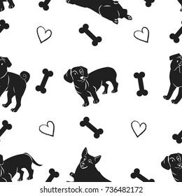 dog pattern