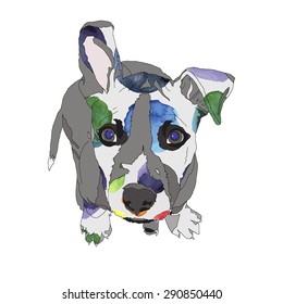 dog pattern American Staffordshire Terrier vector illustration