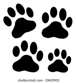 dog paw