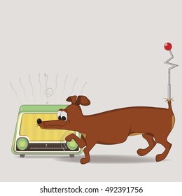 dog paw configures radio. listening to music. from the tail sticking out antenna