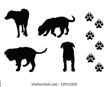 Dog and paw pattern