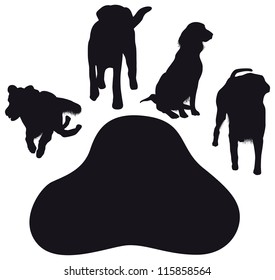 dog paws